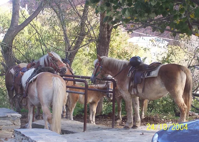 La Moara בית הארחה